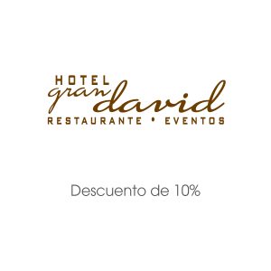 Hotel Gran David